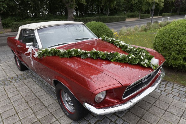 1965 Ford Mustang Cabriolet, decorated as a wedding car, Kühlungsborn, Baltic Sea, Mecklenburg-Vorpommern, Germany