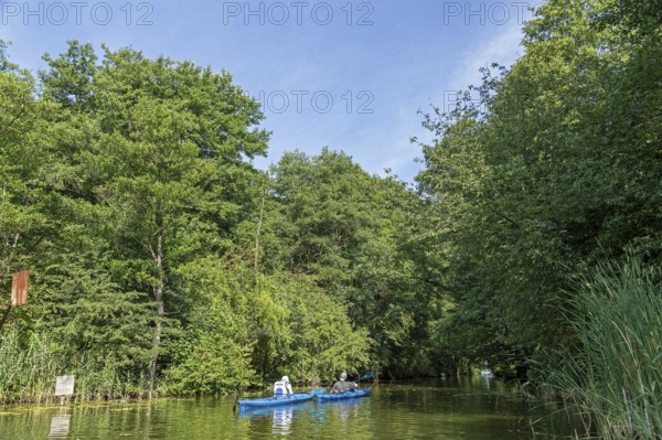 Canal between Leppinsee and Woterfitzsee, canoes, trees, Müritz National Park, Mecklenburg Lake District, Mecklenburg-Western Pomerania, Germany