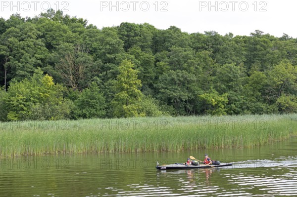 Canoe, Zotzensee, Mecklenburg Lake District, Mecklenburg-Western Pomerania, Germany