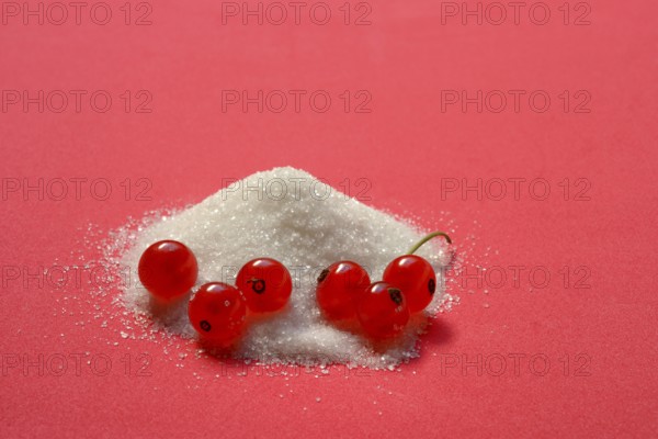 Redcurrants and piles of sugar