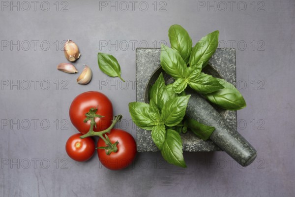 Basil in mortar and tomato, Ocimum basilicum, Solanum lycopersicum