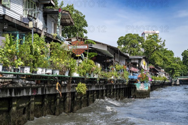 Canal-side flats, Bangkok, Thailand