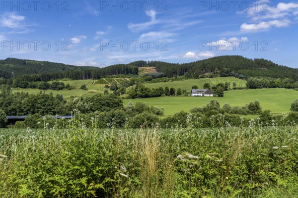 Landscape along the Sauerlandring cycle path, an 84 km long circular cycle path between the towns of Finnentrop, Eslohe, Schmallenberg and Lennestadt, mostly on former railway lines, here near Finnentrop-Serkenrode, Sauerland, North Rhine-Westphalia, Germany