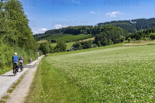 Sauerlandring cycle path, an 84 km long circular cycle path between the towns of Finnentrop, Eslohe, Schmallenberg and Lennestadt, mostly on former railway lines, here near Finnentrop-Serkenrode, Sauerland, North Rhine-Westphalia, Germany
