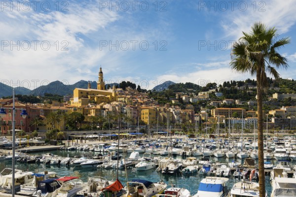 Town with colourful houses by the sea, Menton, Alpes Maritimes, Provence Alpes Cote d'Azur, French Riviera, South of France, France