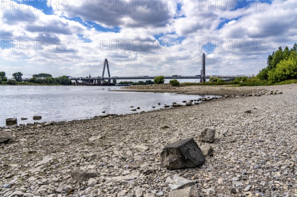 Low water level of the Rhine at Leverkusen, new Rhine bridge on the A1 motorway, extremely low water level of the Rhine, no restrictions on inland navigation yet, North Rhine-Westphalia, Germany