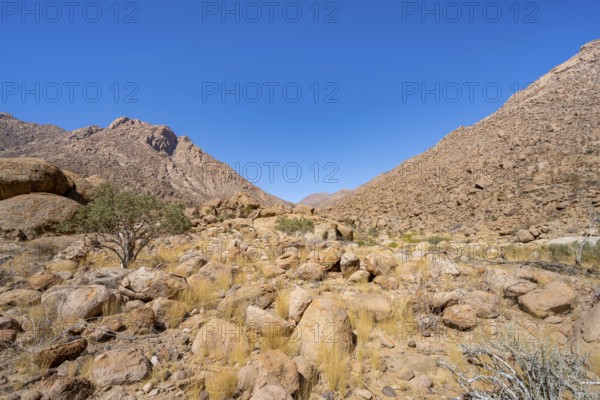 Tsisab Gorge, White Lady Trail, desert landscape with mountains, Brandberg, Erongo, Damaraland, Namibia