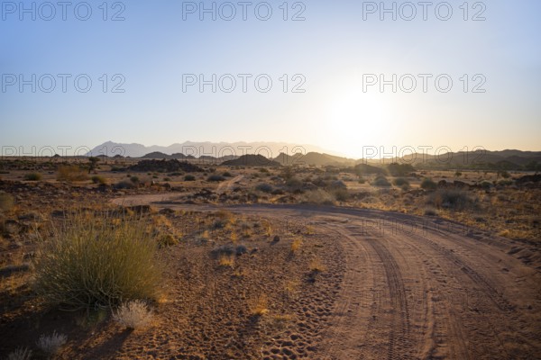 Sandy track, desert landscape in the evening light at sunset, backlit, Brandberg, Erongo, Damaraland, Namibia