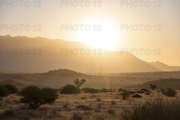 Desert landscape in the evening light at sunset, Brandberg, Erongo, Damaraland, Namibia