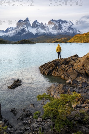 Young man on the shore of the blue lake Lago Pehoe in the evening light, Cuernos del Paine mountain range, Torres del Paine National Park, Chile