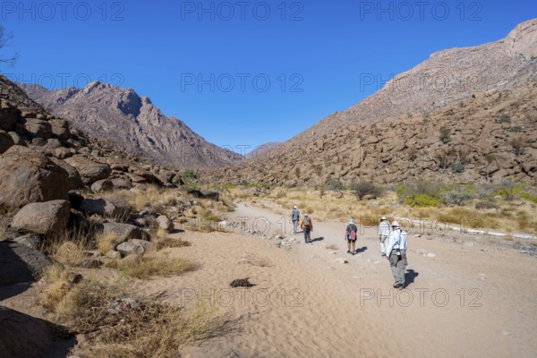 Tourists on a hiking trail in the Tsisab Gorge, White Lady Trail, desert landscape, Brandberg, Erongo, Damaraland, Namibia