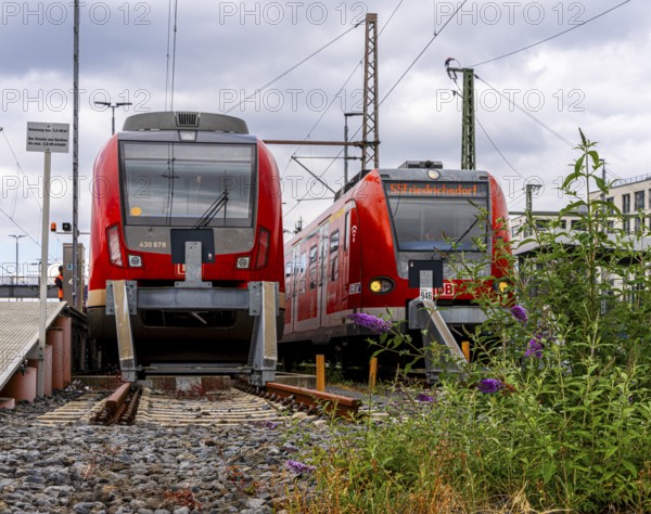 Bridge at Camberger Straße, Galluswarte, Deutsche Bahn, tracks and trains, Frankfurt am Main, Hesse, Germany