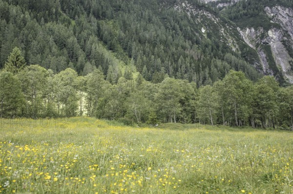 Seidlwinkl Valley, Rauris, Pinzgau, Salzburg, Austria
