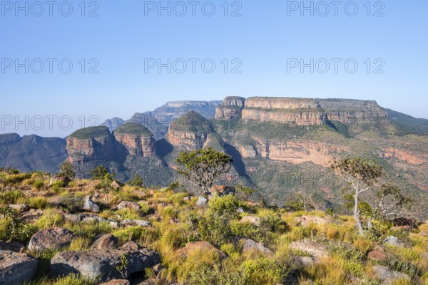 Blyde River Canyon with Three Rondawels peak, view of canyon and table mountains, canyon landscape, Three Rondavels Viewpoint, Panorama Route, Mpumalanga, South Africa