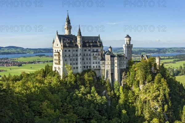 Neuschwanstein Castle by King Ludwig II above the Pöllat Gorge, fairytale castle in the Neo-Romanesque style, UNESCO World Heritage Site, Forggensee, Bannwaldsee, Schwangau, Königswinkel, Allgäu, Swabia, Bavaria, Germany