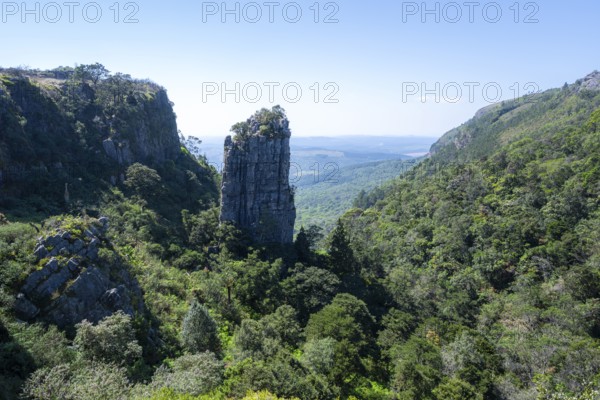 Rock needle in a densely forested canyon, Pinnacle Rock, view over canyon landscape, near Graskop, Mpumalanga, South Africa