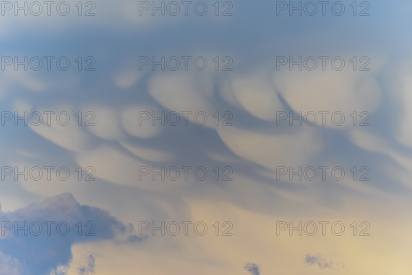 Unusual cloud structures create captivating shapes against a backdrop of warm colours as the sun sets, bringing a serene yet dramatic atmosphere to the evening sky. Bas rhin, Alsace, grand est, France