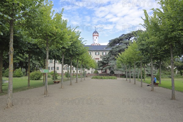 Alley with park bench in the castle park, castle, Bad Homburg, Taunus, Hesse, Germany