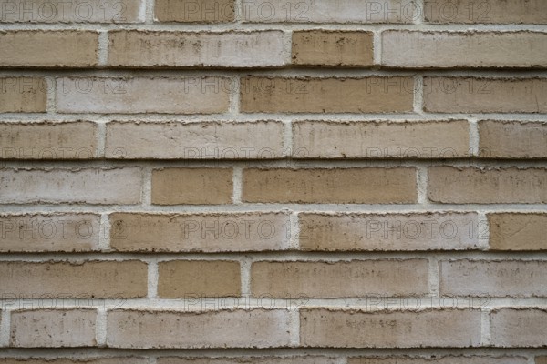 Light brown facade, wall, brick, wallpaper