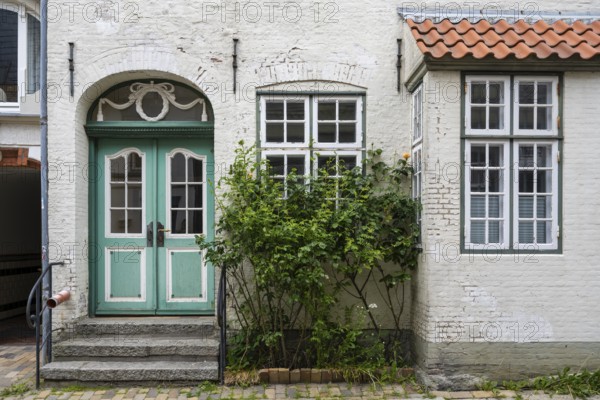 Roses in front of an old house, lattice window, Old Town, Husum, North Frisia, Schleswig-Holstein, Germany