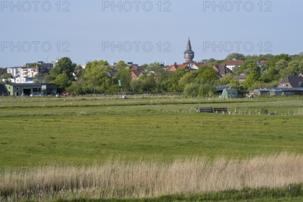 Meadows and fields, water tower, Dockkoog, Husum, North Frisia, Schleswig-Holstein, Germany
