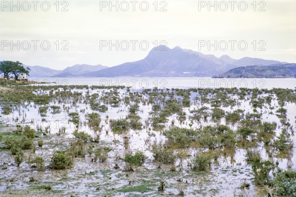 Coastal landscape Tai Po Hoi harbour, New Territories, Hong Kong, Asia, 1964
