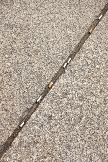 Discarded cigarette butts, footpath, Germany