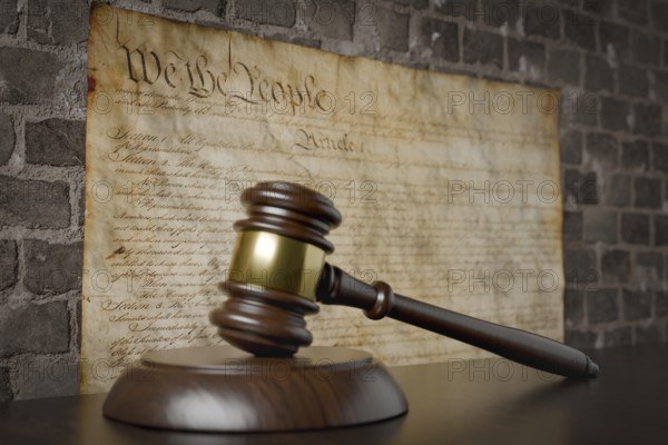 United states constitution on wall with gavel resting on table in front