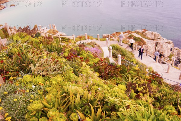 Minack Theatre, spectacular open-air theatre, circular path with lush planting, South England, Cornwall, England, GB