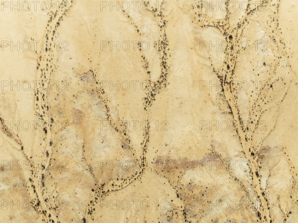 Arid desert plain and dried-up river beds with sparse vegetation. Aerial view. Drone shot. Gondwana Canyon Park. Namibia