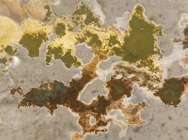 Salt marsh at the Skeleton Coast. Aerial view. Drone shot. Dorob National Park, Namibia