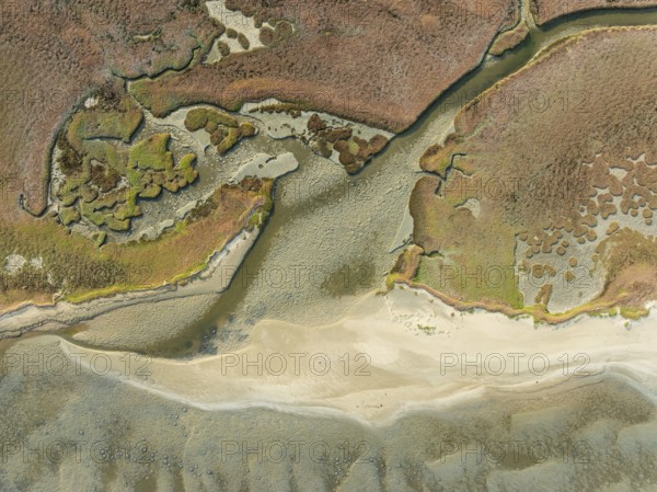 Marshes and streams at low tide in the Walvis Bay Lagoon. Aerial view. Drone shot. Namibia