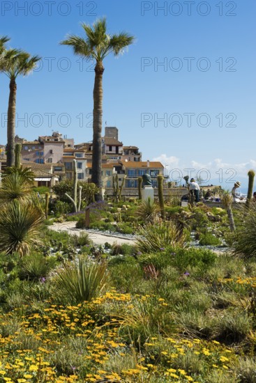 Picturesque town by the sea, Antibes, Provence Alpes Côte d'Azur, South of France, France