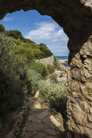 Picturesque wild hiking trail on the coast, Sentier du Littoral, Cap d'Antibes, Antibes, Provence Alpes Côte d'Azur, South of France, France