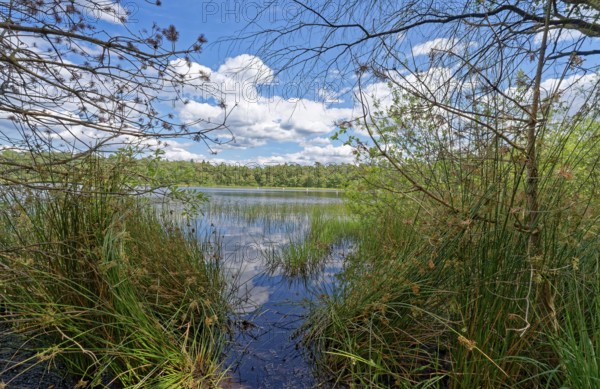 The Bullensee is located in a moorland area and is part of the Bullensee and Hemelsmoor nature reserve near the town of Zeven in the district of Rotenburg (Wümme) in Lower Saxony. The lake is also a local recreation area in the Bremen and Rotenburg/Wümme region. Bülstedt, Rotenburg, Lower Saxony, Germany