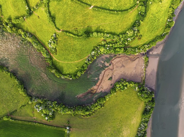 Top Down over Marshes over River Dart from a drone, Stoke Gabriel, Totnes, Devon, England, United Kingdom