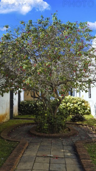 Puerto Rico, San Juan colorful colonial architecture in historic city center