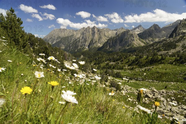 Mountain landscape in the Aigüestortes i Estany de Sant Maurici National Park, Catalonia, Spain