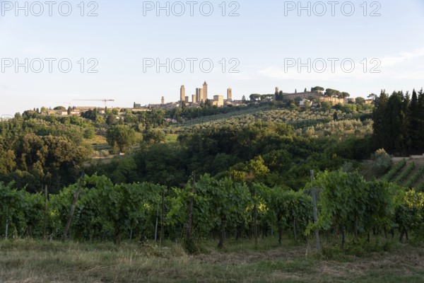 San Gimignano, also known as Medieval Manhattan, UNESCO World Heritage Site, San Gimignano, Tuscany, Italy
