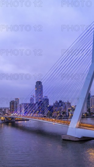 Panoramic view of Erasmus Erasmusbrug bridge in Rotterdam . Financial business district skyline