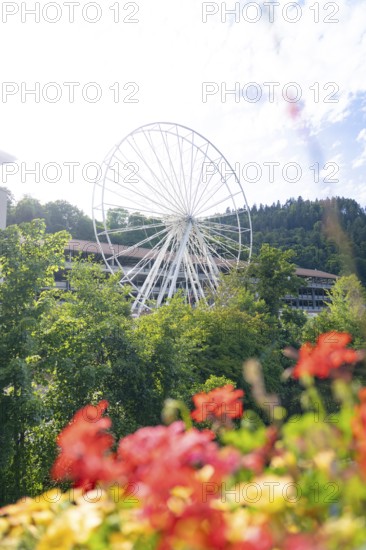 Colourful flowers in front of a large Ferris wheel in a green landscape, Ferris wheel construction for the 950th anniversary of the town of Calw, Black Forest, Germany