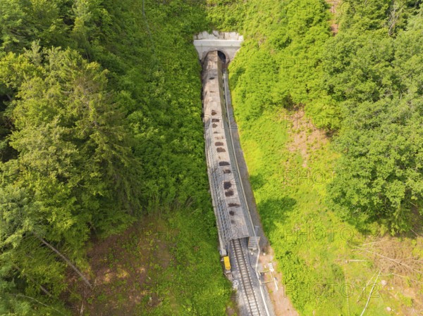 A train runs through a tunnel surrounded by dense forest, construction of the Hermann Hesse railway, Calw, Germany