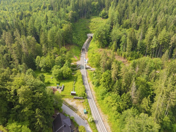 Green forest landscape with railway tracks and tunnel, nature surrounds the line, construction of the Hermann Hesse Railway, Calw, Germany
