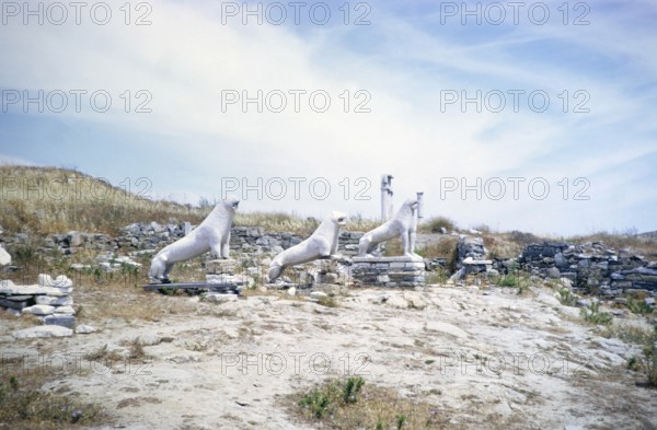 Stone statues of lions, Terrace of the Lions archaeological site, Delos, Cyclades archipelago, Greece, Europe 1967