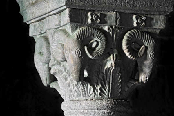 Column capital with ram, relief in stone, underground grove of columns, pagan crypt, 10th century, gloomy illumination, Cathedral of Acquapendente, Basilica of the Holy Sepulchre, Basilica Santo Sepolcro, Basilica minor, Aquapendente, Province of Viterbo, Lazio, Italy