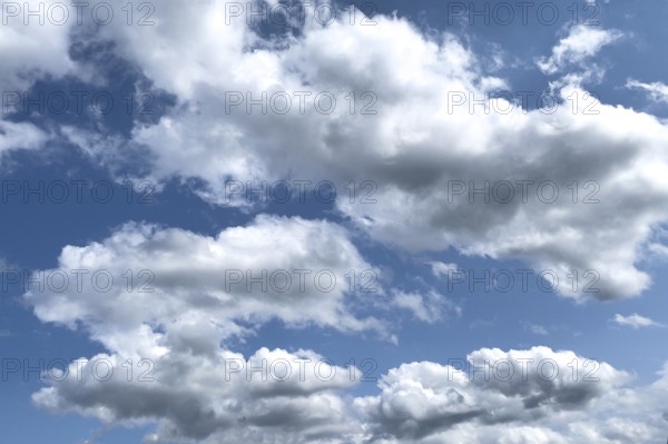 White clouds Altocumulus in front of blue sky. international