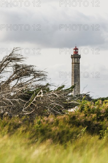 WHALE LIGHTHOUSE, Saint-Clement-des-Baleines, Atlantic, France