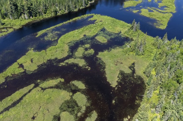 Lake and islands with vegetation, Boreal forest, Mastigouche wildlife reserve, Region of La Mauricie, Province of Quebec, Canada