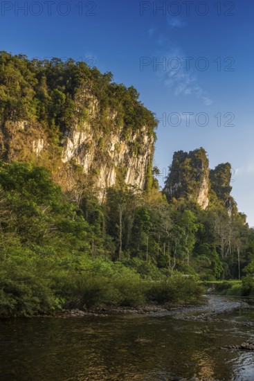 Jungle and rainforest with steep mountains, Khao Sok National Park, Phang Nga, Surat Thani, Thailand