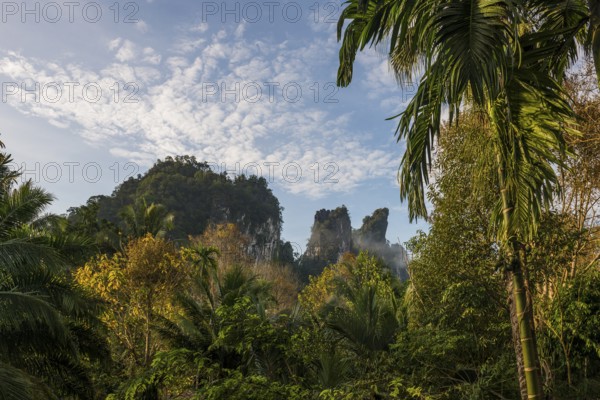Jungle and rainforest with steep mountains, Khao Sok National Park, Phang Nga, Surat Thani, Thailand